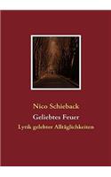 Geliebtes Feuer: Lyrik gelebter Alltäglichkeiten