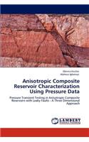 Anisotropic Composite Reservoir Characterization Using Pressure Data