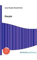 Oocyte