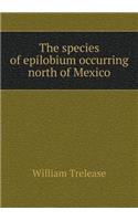 The Species of Epilobium Occurring North of Mexico