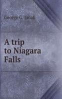 trip to Niagara Falls