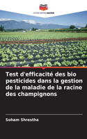 Test d'efficacité des bio pesticides dans la gestion de la maladie de la racine des champignons