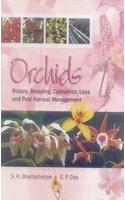 Orchids : Botany, Breeding, Cultivation, Uses and Post Harvest Management