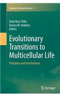 Evolutionary Transitions to Multicellular Life