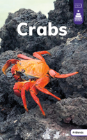Crabs: (Stairway Decodables Nonfiction Step 2)