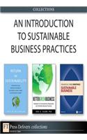 Introduction to Sustainable Business Practices (Collection), An