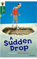 Oxford Reading Tree All Stars: Oxford Level 12: A Sudden Drop