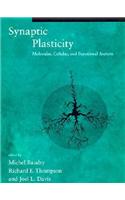 Synaptic Plasticity