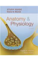 Study Guide for Anatomy & Physiology