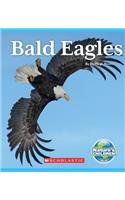 Bald Eagles (Nature's Children) (Library Edition)