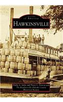 Hawkinsville