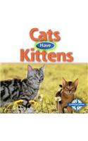 Cats Have Kittens