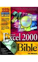 Microsoft Excel 2000 Bible