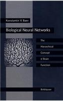 Biological Neural Networks: Hierarchical Concept of Brain Function