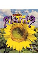 What Is A Plant?