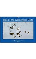 Birds of the Camargue Delta 2018