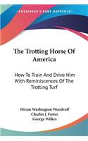 Trotting Horse Of America