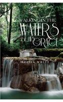 Walking in the Waters of His Grace
