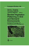 Banded Vegetation Patterning in Arid and Semiarid Environments