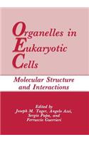 Organelles in Eukaryotic Cells