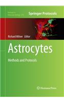 Astrocytes