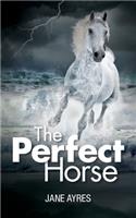 The Perfect Horse
