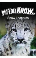 Snow Leopards