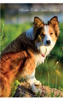 Border Collie April Notebook Border Collie Record, Log, Diary, Special Memories, To Do List, Academic Notepad, Scrapbook & More