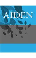 Aiden: Personalized Journals - Write In Books - Blank Books You Can Write In