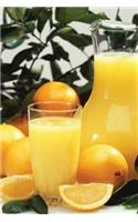 Food Journal Refreshing Orange Juice Weight Loss Diet Blank Recipe Book