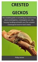 Crested Geckos