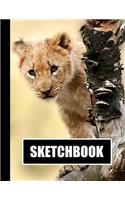 Sketchbook