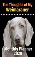 The Thoughts of My Weimaraner