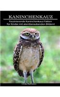 Kaninchenkauz