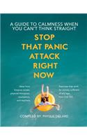 Stop That Panic Attack Right Now: A Guide to Calmness When You Can't Think Straight.