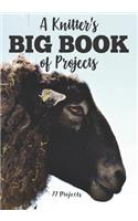 Knitter's Big Book of Projects