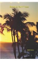 Beach & Palm Trees