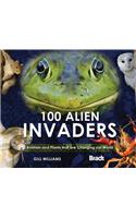100 Alien Invaders