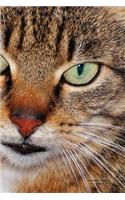 Journal Pages - Cat Face (Bullet Journal): 6" X 9," Dotted Grid, Dot Matrix Bullet Journal Notebook-Essential for Notes, Sketches & Writing - 100 Pages (Durable Cover)