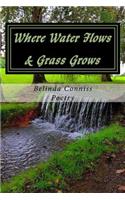 Where Water Flows & Grass Grows: Sentiments & Memories
