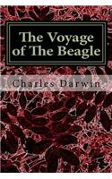 Voyage of The Beagle
