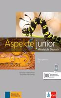 Aspekte junior
