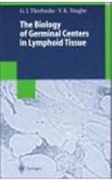 The Biology of Germinal Centers in Lymphoid Tissue