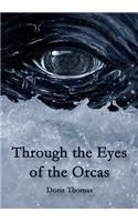 Through the Eyes of the Orcas