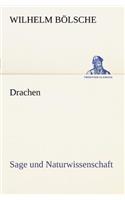 Drachen