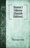 Slottet I Odense (Danish Edition)