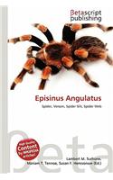 Episinus Angulatus