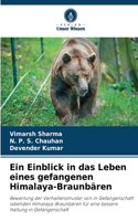 Einblick in das Leben eines gefangenen Himalaya-Braunbären