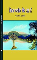 Litten Block Gir Raha Hai [Paperback] S R Harnot