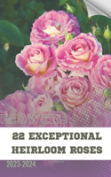 22 Exceptional Heirloom Roses: Become flowers expert